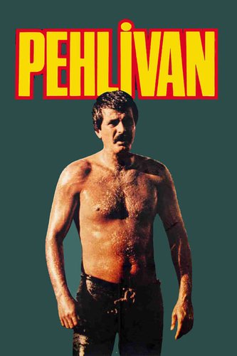 Wrestler (Pehlivan)