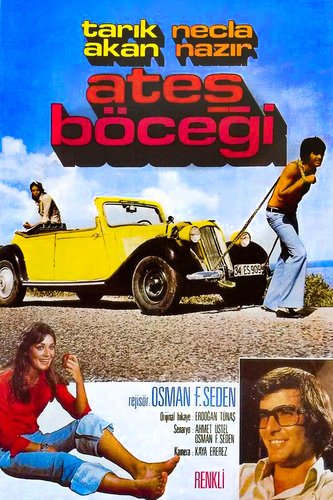 Luciole (Ateş Böceği)
