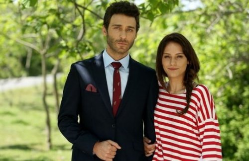 Ateş Böceği