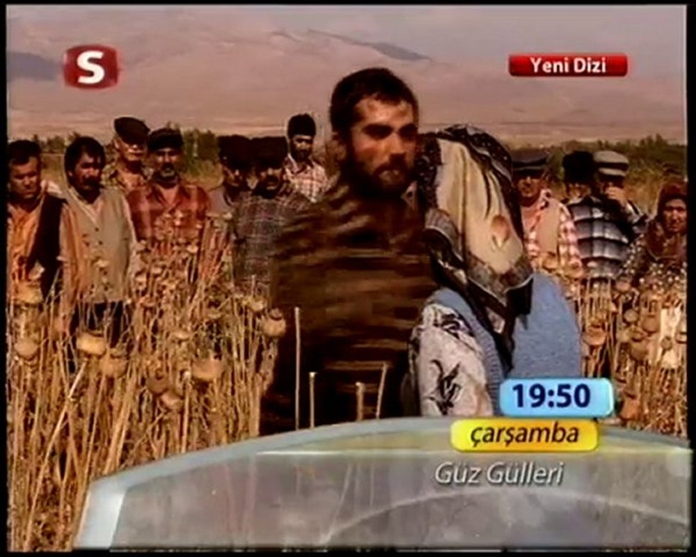 ورود الخريف (Güz Gülleri)