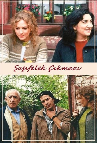 زقاق القدر الأعوج (Şaşı Felek Çıkmazı)