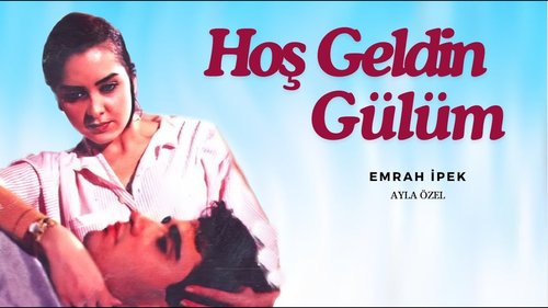 Welcome, My Rose (Hoş Geldin Gülüm)