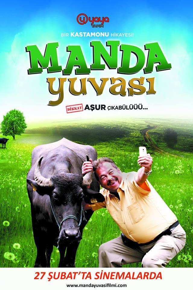 Buffalo's Nest (Manda Yuvası)