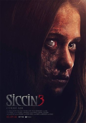 Siccin 3: Das Verbrechen ist Liebe (Siccin 3: Cürmü Aşk)