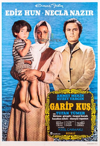 Garip Kuş