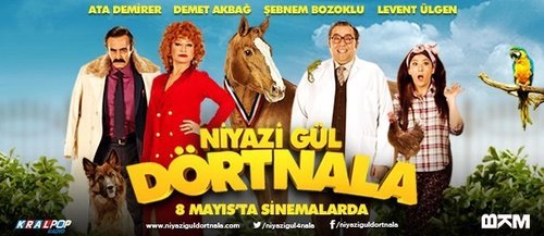 Niyazi Gul, the Galloping Vet (Niyazi Gül Dörtnala)