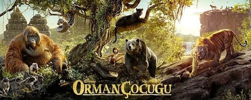 The Forest (Orman)