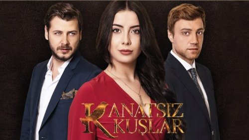 Kanatsız Kuşlar