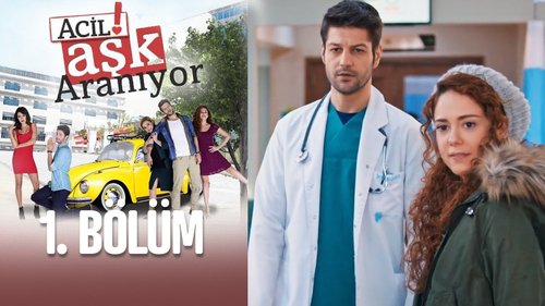 Acil Aşk Aranıyor