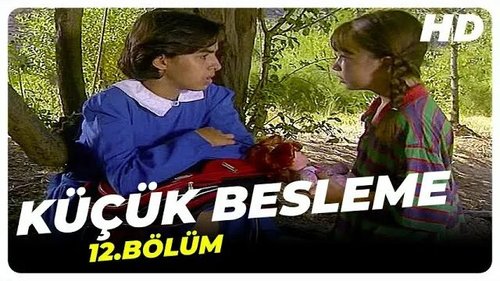 Küçük Besleme