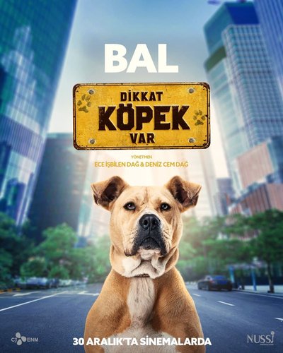 الكلب (Köpek)