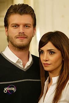 Rose d'été (Yaz Gülü)