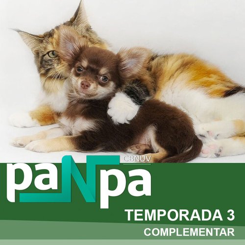 Buddy (Panpa)